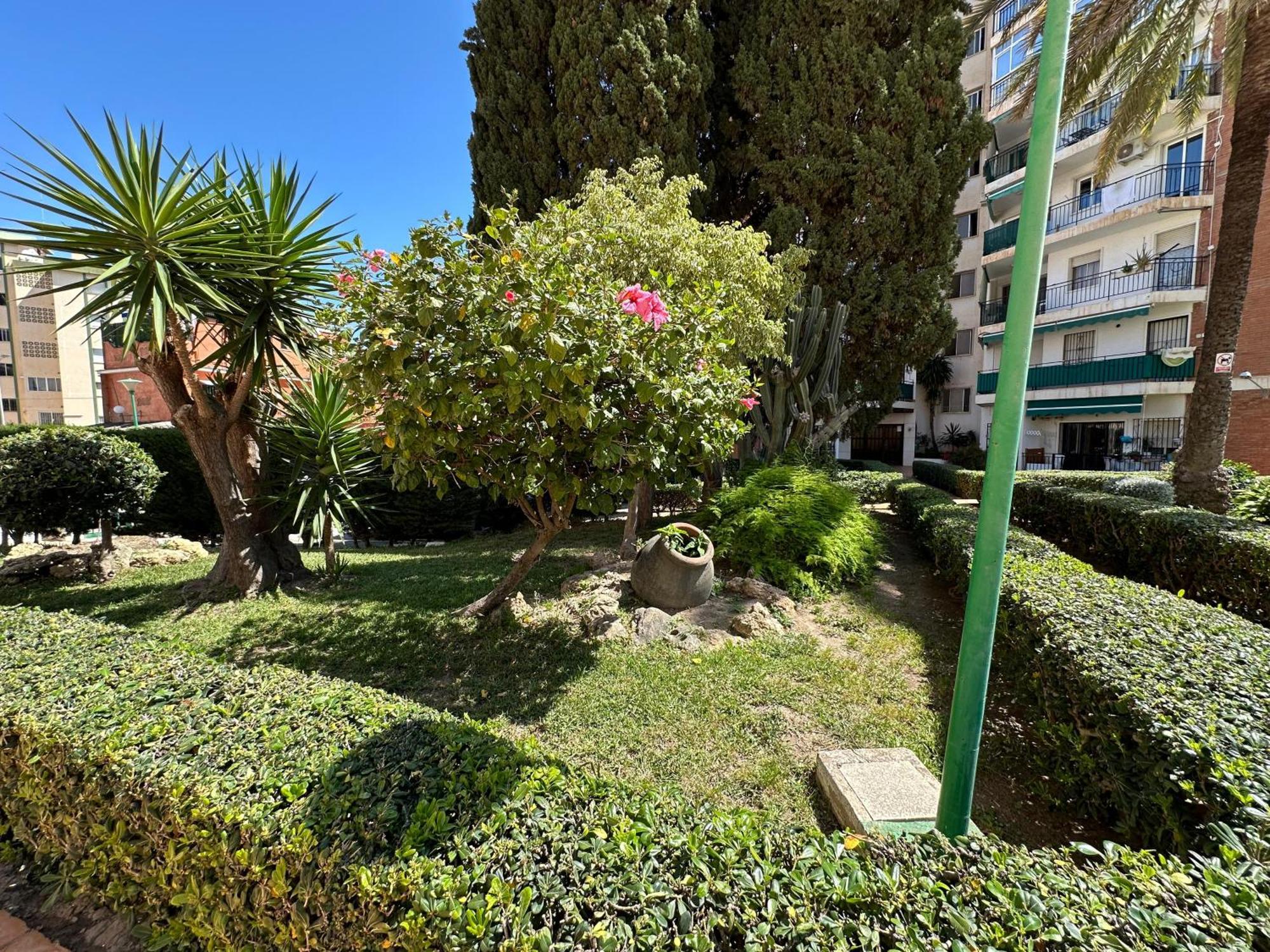 Studio Pollux Lägenhet Torremolinos Exteriör bild